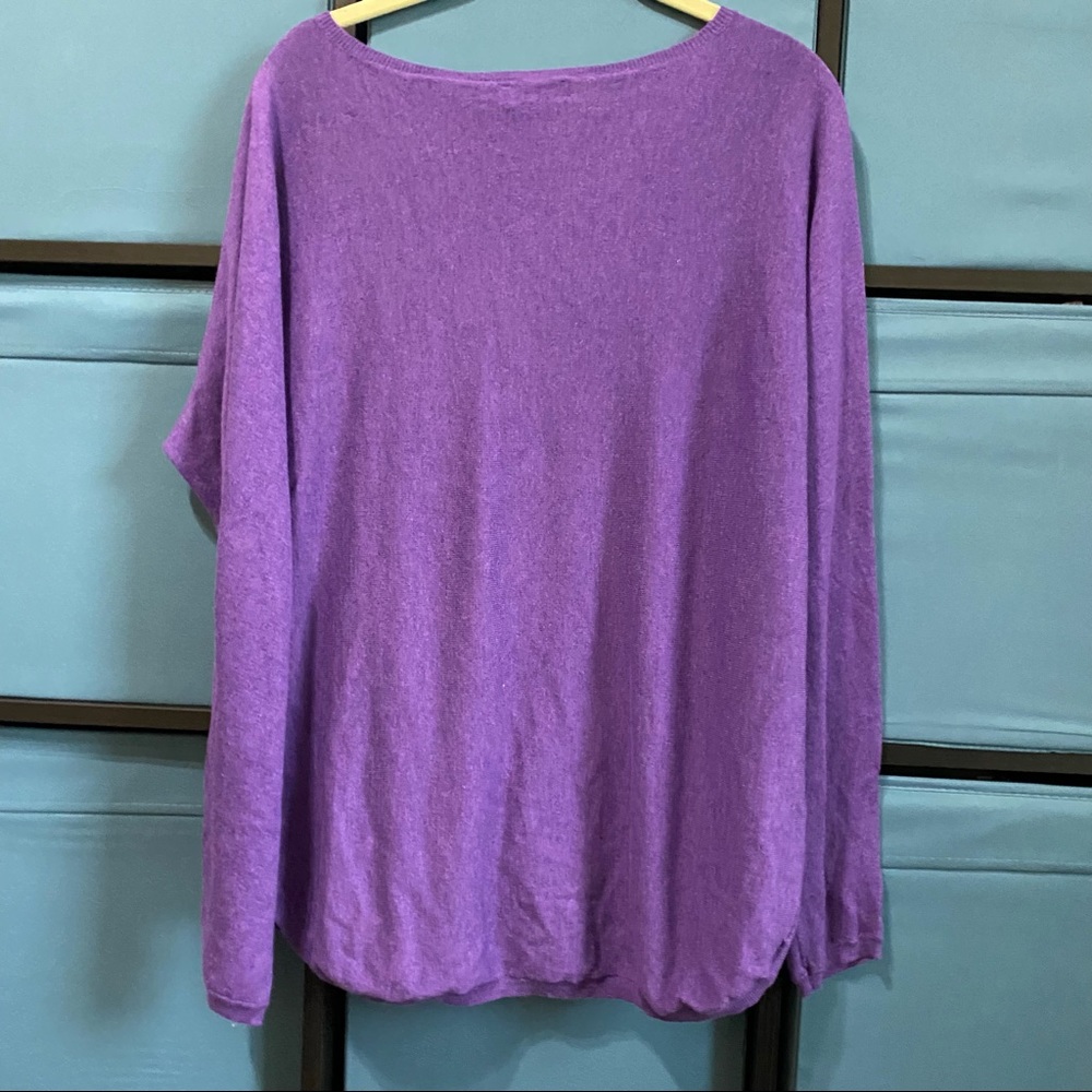 Polo by Ralph Lauren Vneck Cotton Sweatshirt Long Sleeve Pullover Purple Size M - Picture 2 of 6